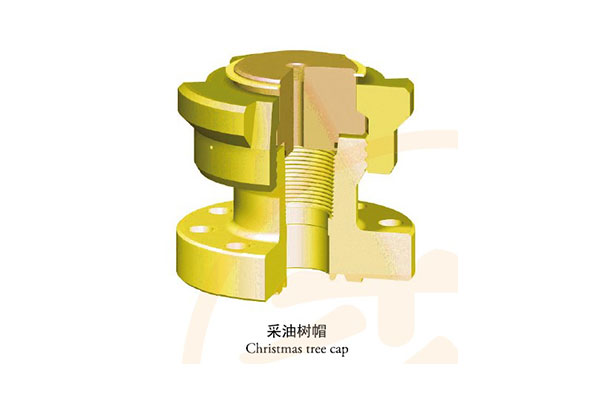 采油樹(shù)帽